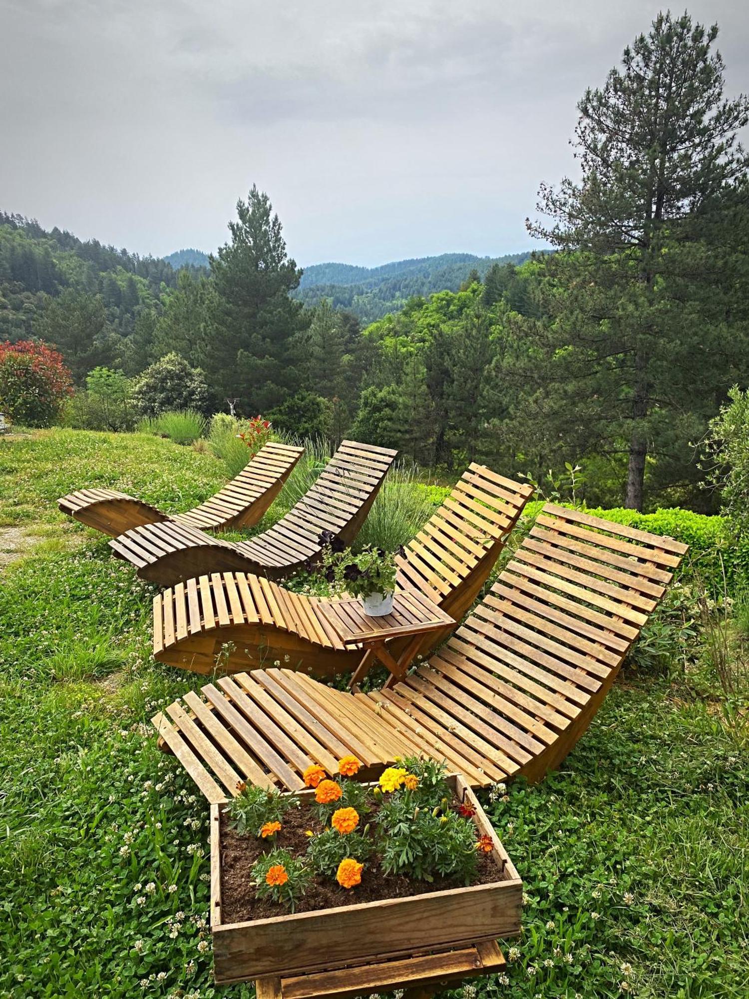 Retour à l'essentiel dans le parc national Vila Saint-Andre-Capceze Exterior foto